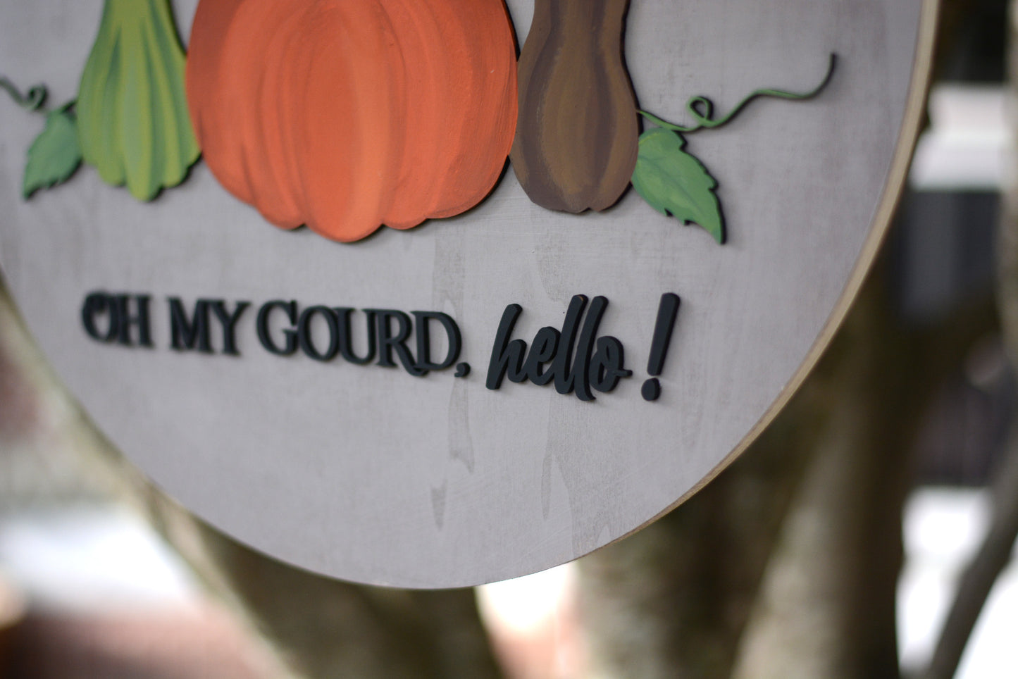 Oh My Gourd, Hello! Large Round Door Hanger Sign Wreath