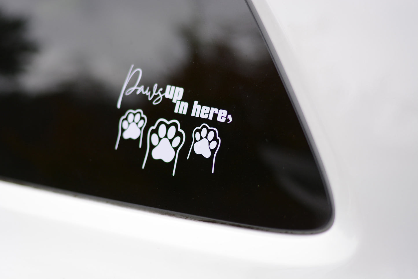 Paws Up In Here Vinyl Window Decal Sticker Sign