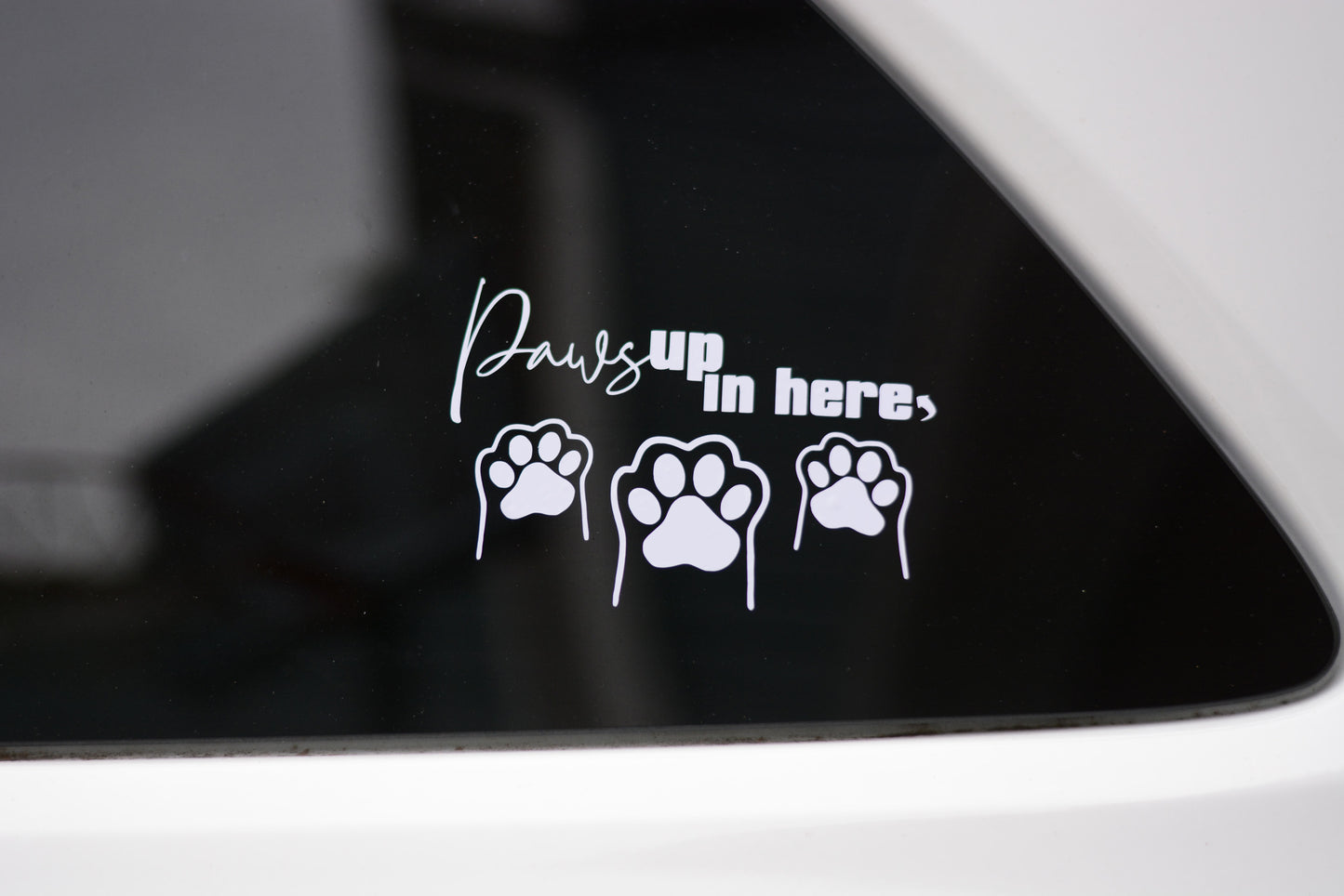 Paws Up in Here Vinyl Car Window Decal Sticker