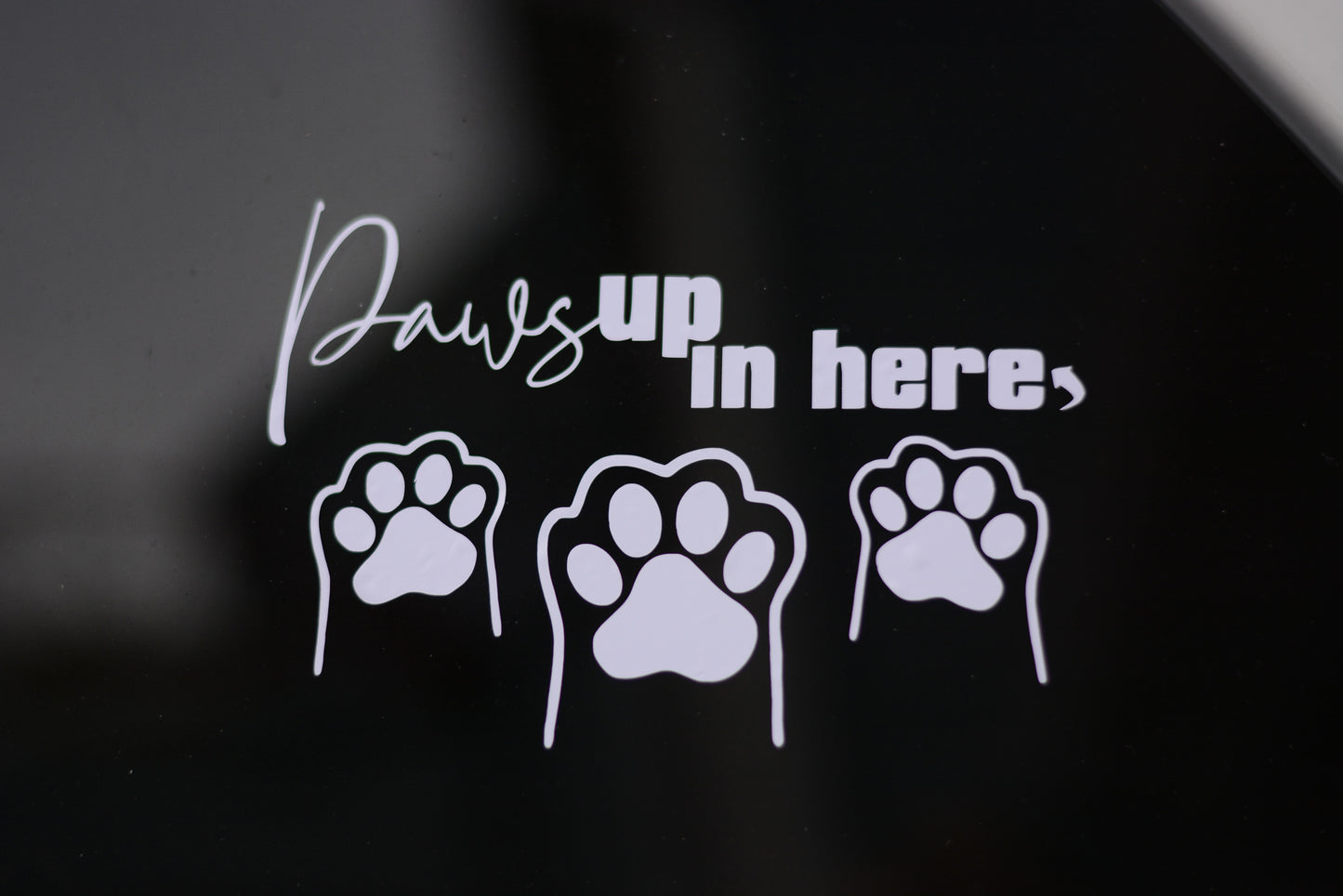 Paws Up in Here Vinyl Car Window Decal Sticker