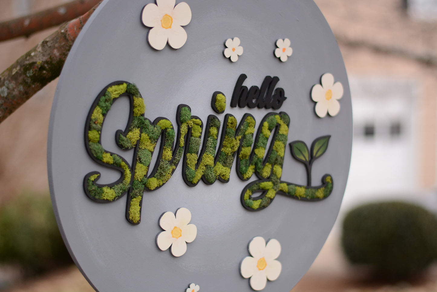 Hello Spring, Moss Filled Round Wood Door Hanger, Gray, Green, White, Flowers