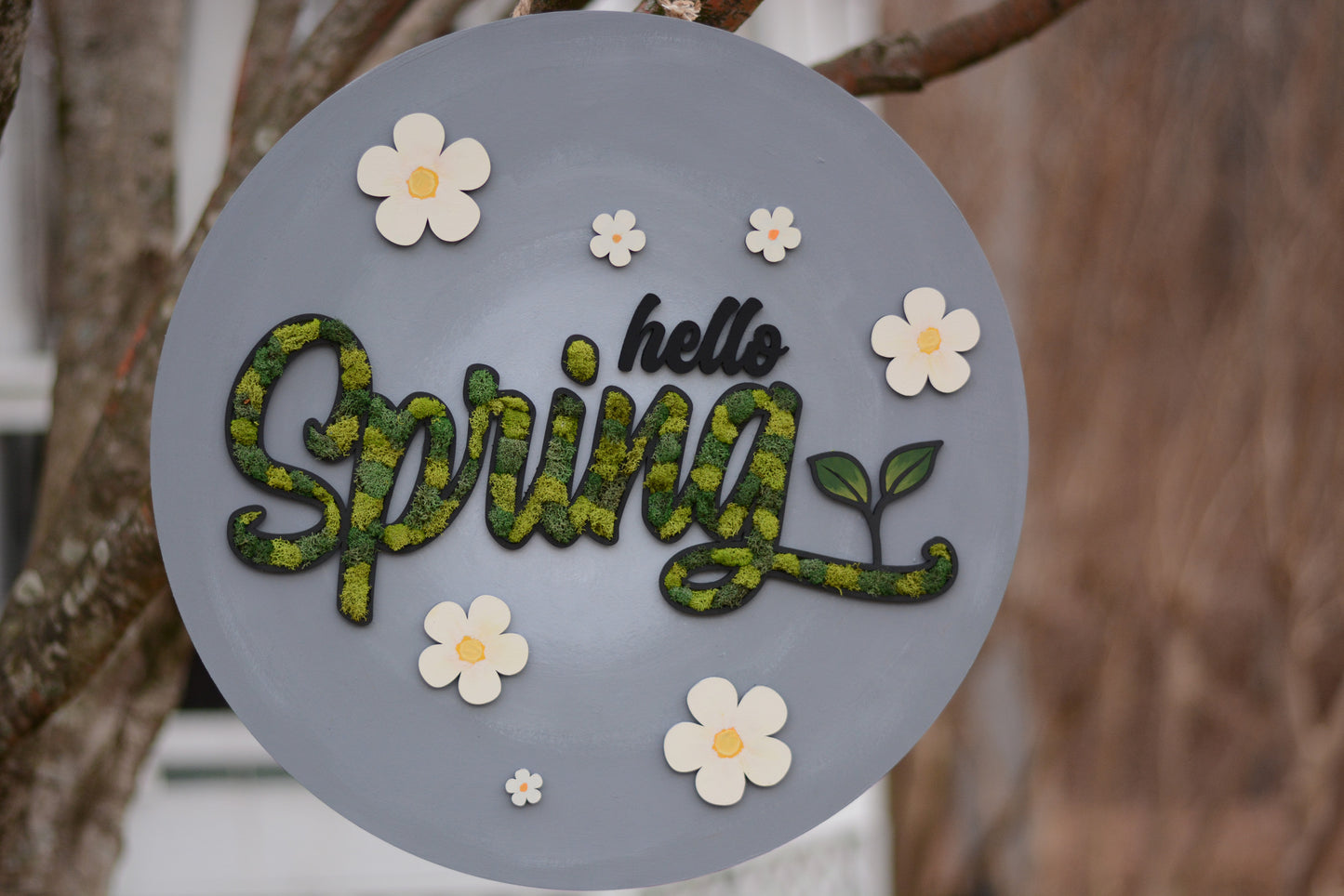 Hello Spring, Moss Filled Round Wood Door Hanger, Gray, Green, White, Flowers