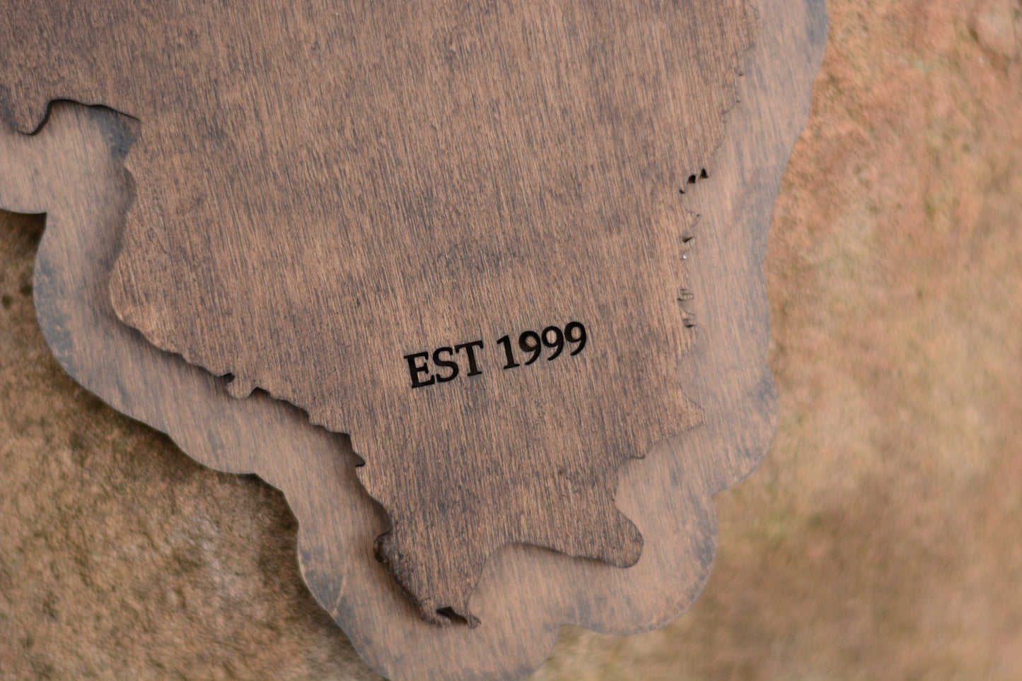 Illinois Wooden State with Inlaid Last Name and Established Date